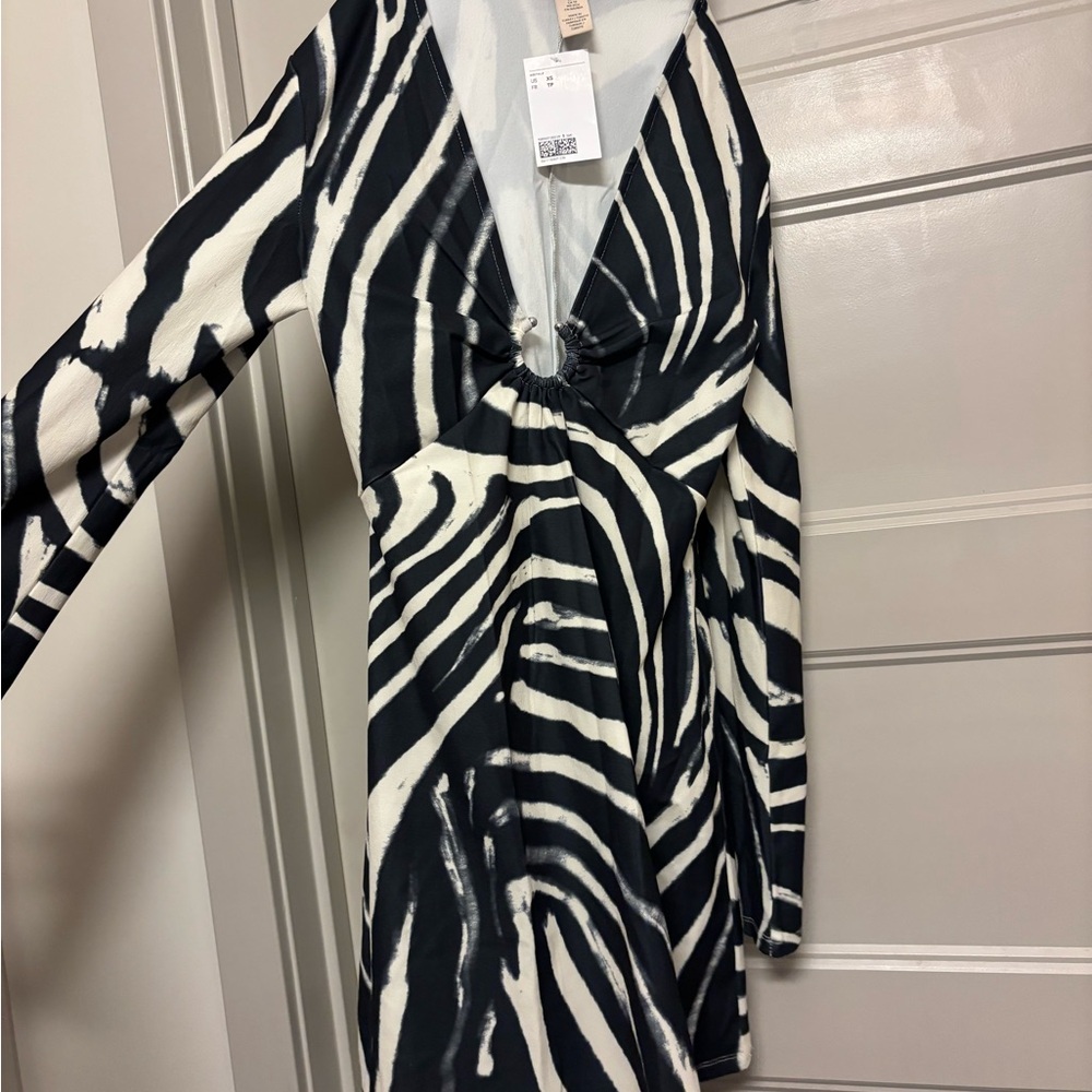 H&M Black and White Zebra Print Dress